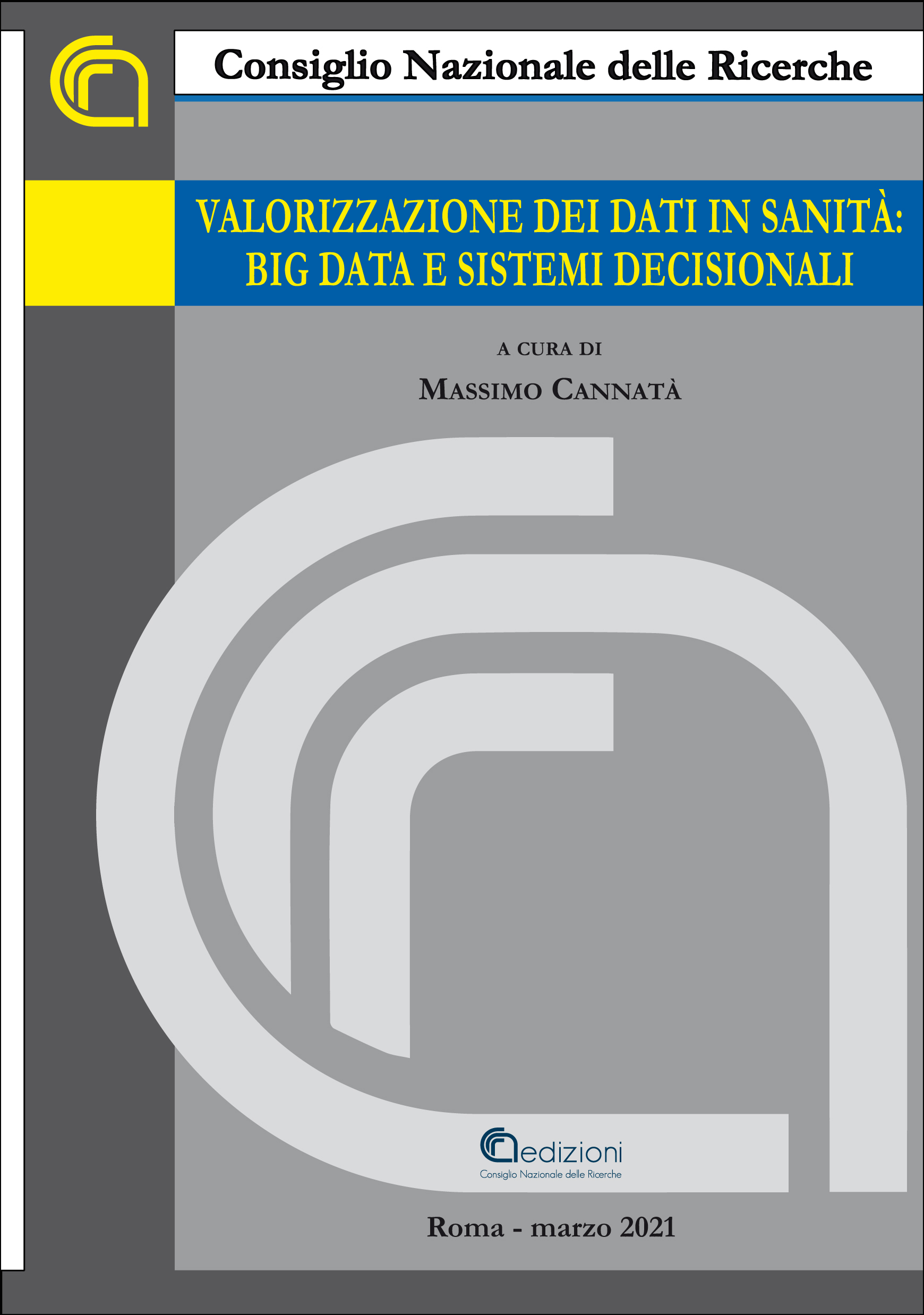 Cover volume Valorizzazione dei dati in sanita: big data e sistemi decisionali