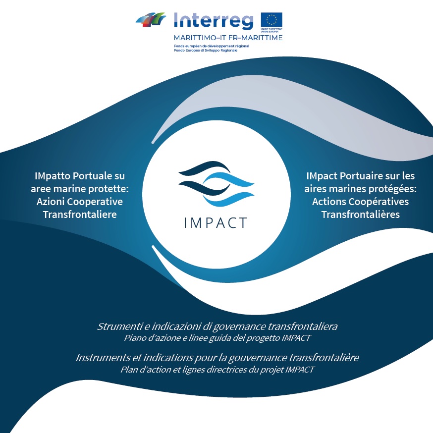 Cover_Impact