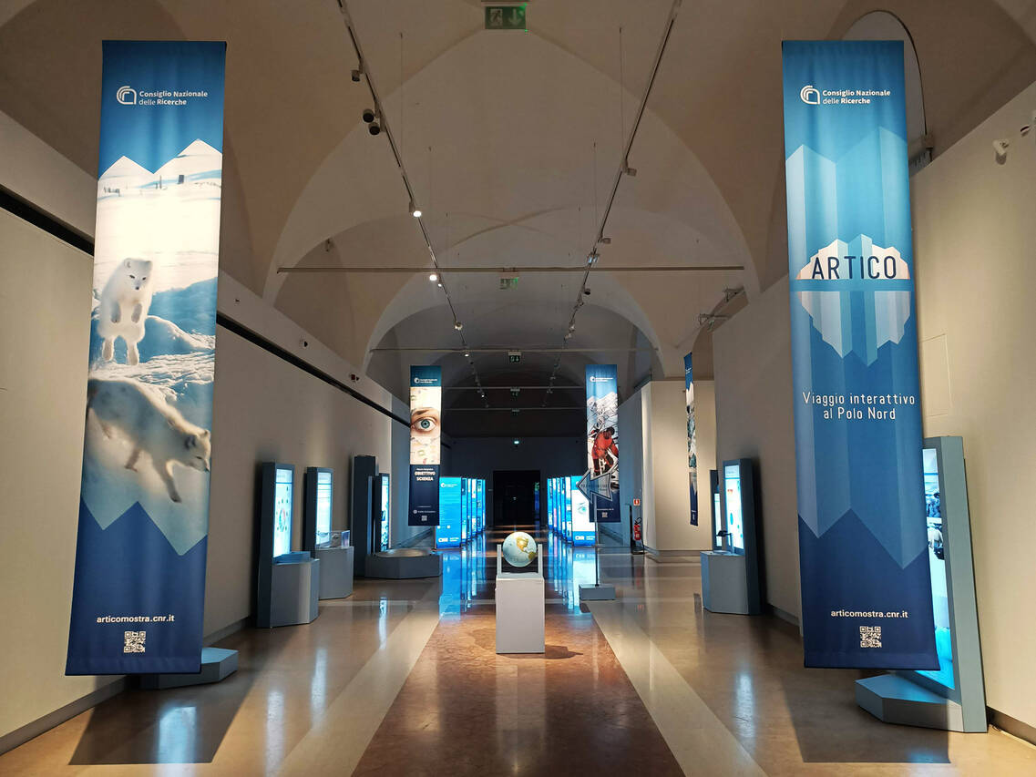 Mostra Artico - Allestimento al Museo Civico Archeologico di Bologna (16/01/2025 - 02/03/2025) 